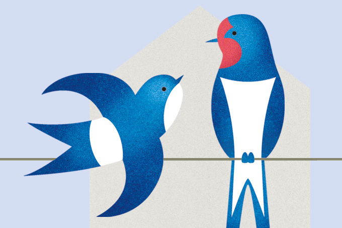 NABU_Schwalbenfreund_Plakette_V31.indd