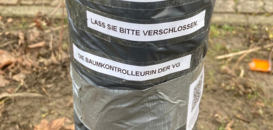 Stammwunden Behandlung bei Bäumen