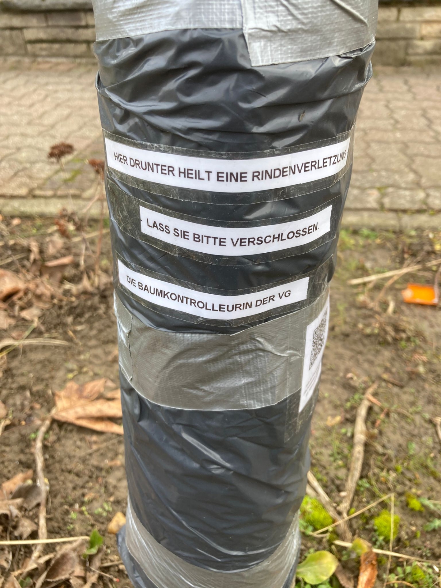 Stammwunden Behandlung bei Bäumen