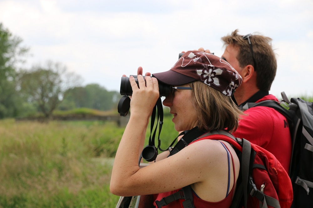 Vogelbeobachtung an der Unteren Havel